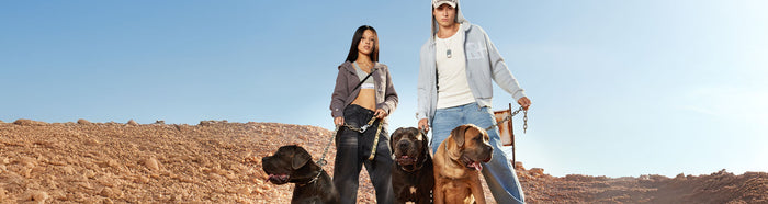 VIVANT COLLECTION