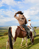 HORSE PATCH ZIP HOODIE EARTH