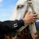 HORSE LOGO HOODIE BLACK