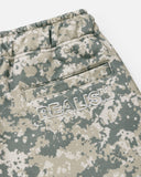 LEGACY SWEATPANTS V2 DESERT DIGI CAMO